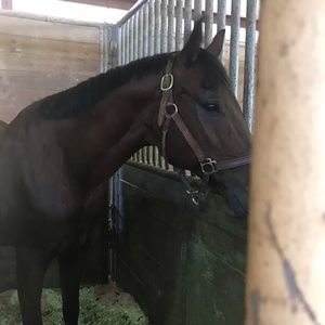 Meet your Posher, Ac